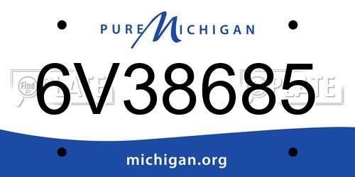 6V38685 Michigan License Plate