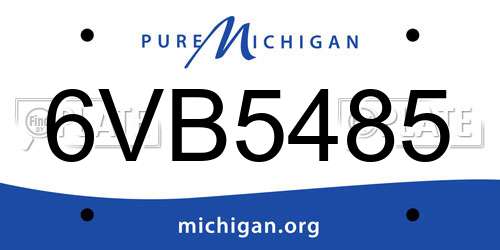 6VB5485 Michigan License Plate