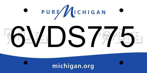 6VDS775 Michigan License Plate