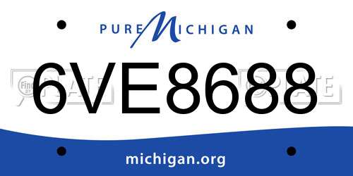 6VE8688 Michigan License Plate