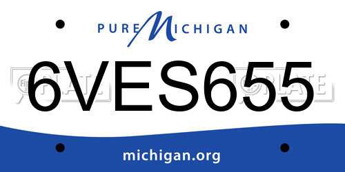 6VES655 Michigan License Plate