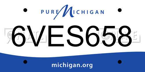 6VES658 Michigan License Plate
