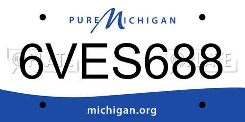 6VES688 Michigan License Plate