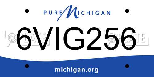 6VIG256 Michigan License Plate