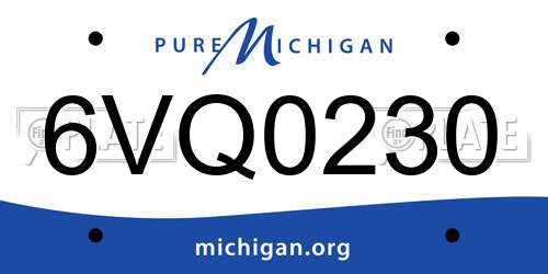 6VQ0230 Michigan License Plate