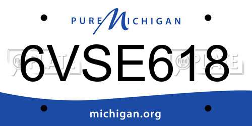 6VSE618 Michigan License Plate