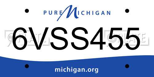 6VSS455 Michigan License Plate