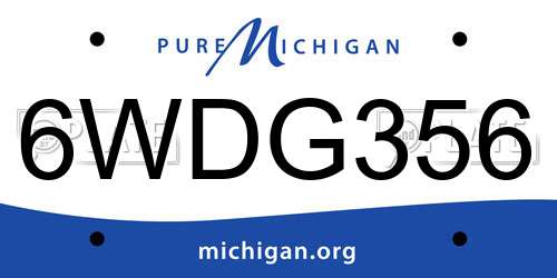 6WDG356 Michigan License Plate