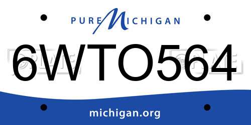 6WTO564 Michigan License Plate