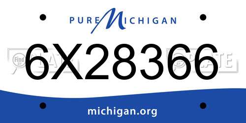 6X28366 Michigan License Plate