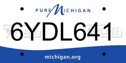 6YDL641 Michigan License Plate