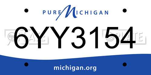 6YY3154 Michigan License Plate