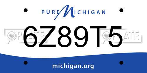 6Z89T5 Michigan License Plate