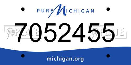 7052455 Michigan License Plate