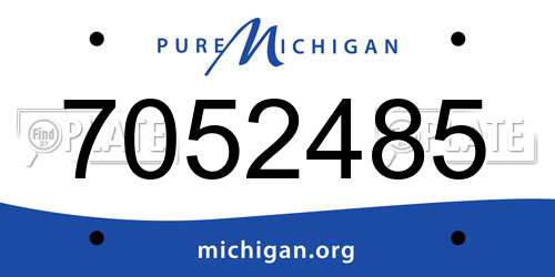 7052485 Michigan License Plate
