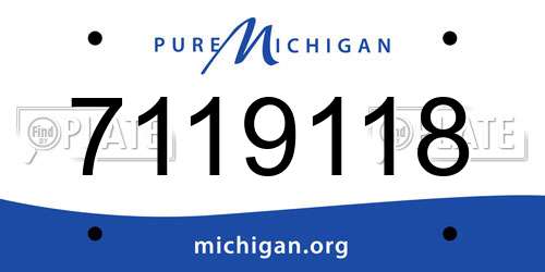 7119118 Michigan License Plate