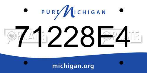 71228E4 Michigan License Plate