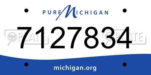 7127834 Michigan License Plate