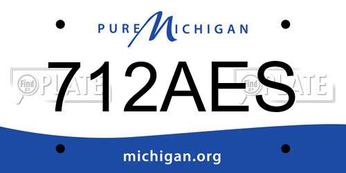712AES Michigan License Plate