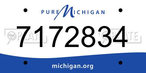 7172834 Michigan License Plate