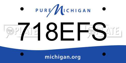 718EFS Michigan License Plate