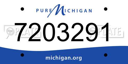 7203291 Michigan License Plate