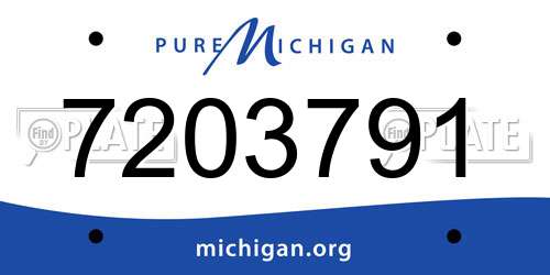 7203791 Michigan License Plate