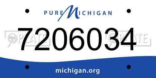 7206034 Michigan License Plate