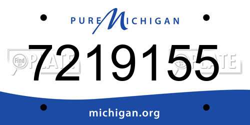 7219155 Michigan License Plate