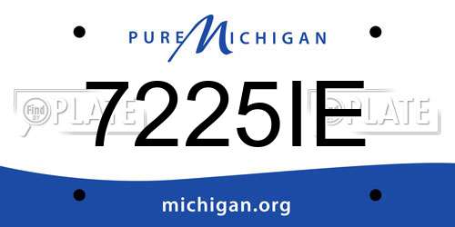 7225IE Michigan License Plate
