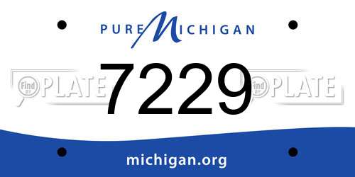7229 Michigan License Plate