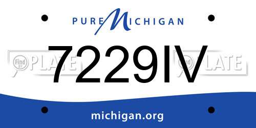 7229IV Michigan License Plate