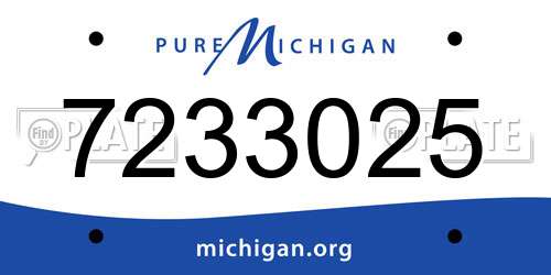 7233025 Michigan License Plate