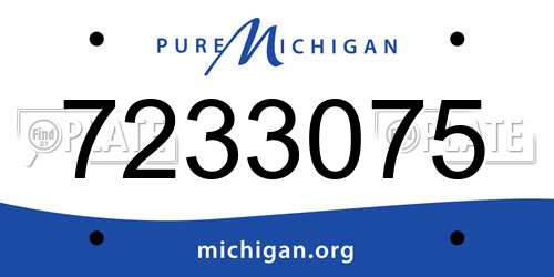7233075 Michigan License Plate