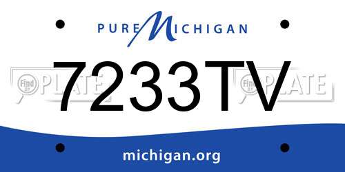 7233TV Michigan License Plate