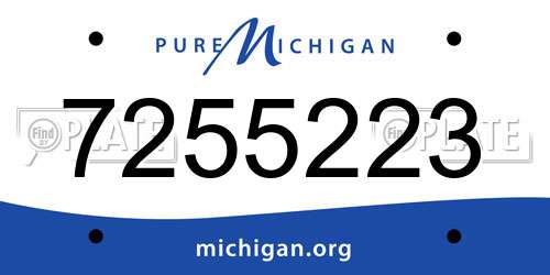 7255223 Michigan License Plate