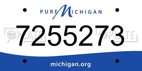 7255273 Michigan License Plate