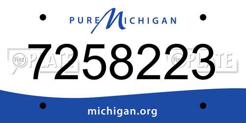 7258223 Michigan License Plate