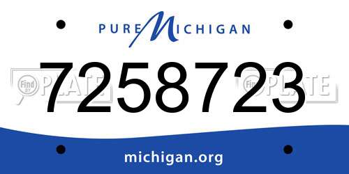 7258723 Michigan License Plate