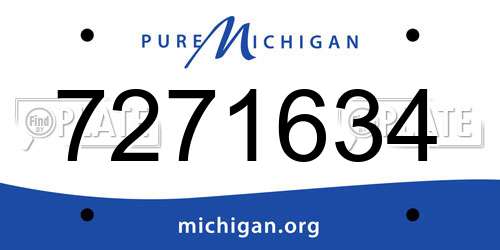 7271634 Michigan License Plate
