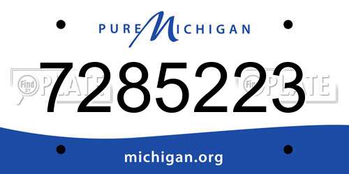 7285223 Michigan License Plate