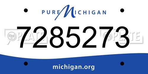 7285273 Michigan License Plate