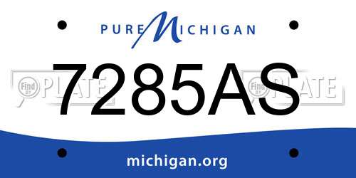 7285AS Michigan License Plate