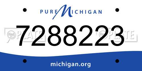 7288223 Michigan License Plate