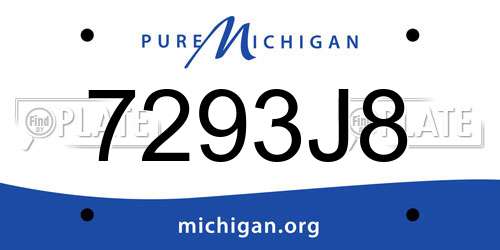 7293J8 Michigan License Plate
