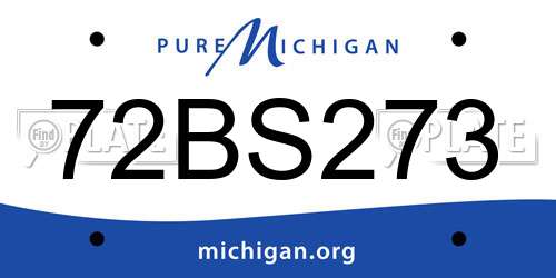 72BS273 Michigan License Plate