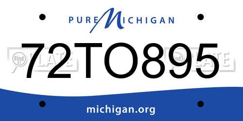 72TO895 Michigan License Plate