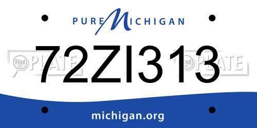 72ZI313 Michigan License Plate