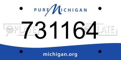 731164 Michigan License Plate