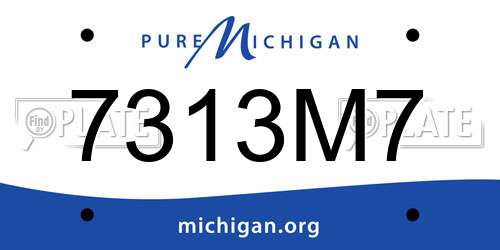 7313M7 Michigan License Plate